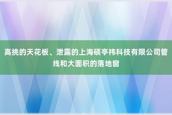 高挑的天花板、泄露的上海硕亭祎科技有限公司管线和大面积的落地窗