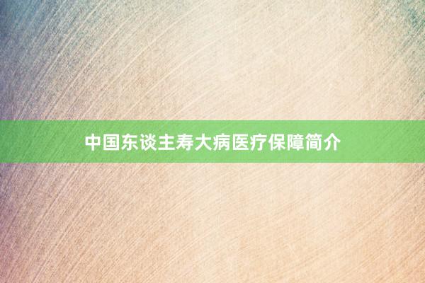 中国东谈主寿大病医疗保障简介