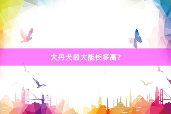 大丹犬最大能长多高？